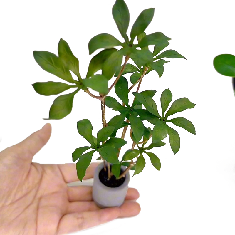 Bonsai Garden House - 1:6 Dollhouse Miniature Potted Plants Model