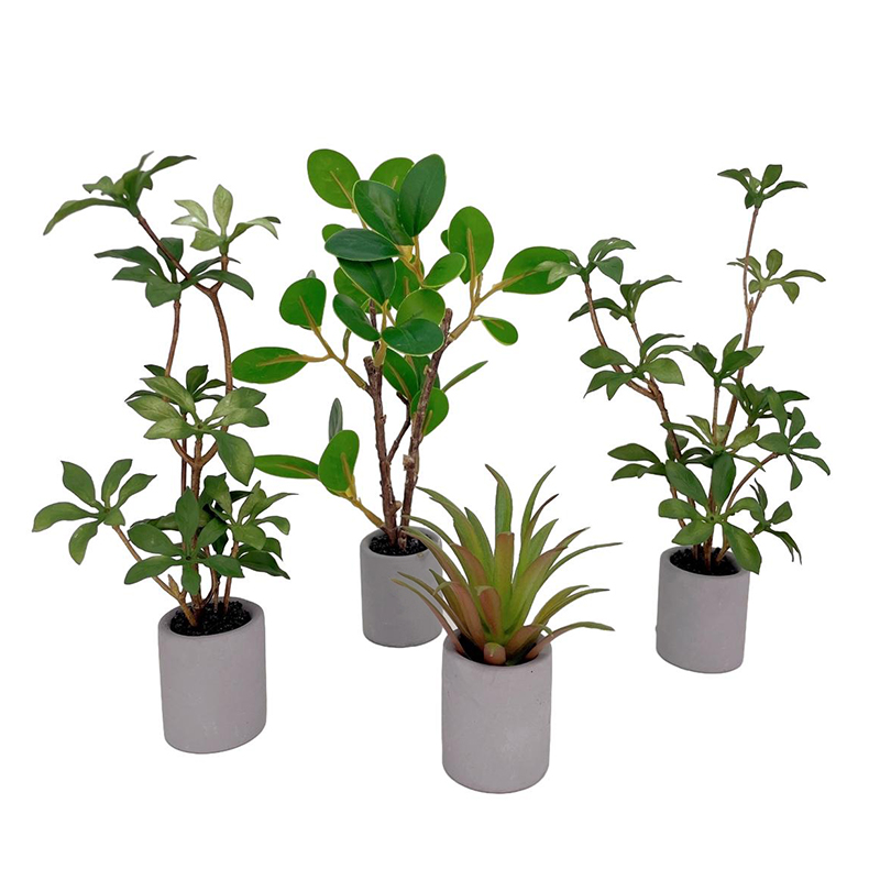 Bonsai Garden House - 1:6 Dollhouse Miniature Potted Plant Green