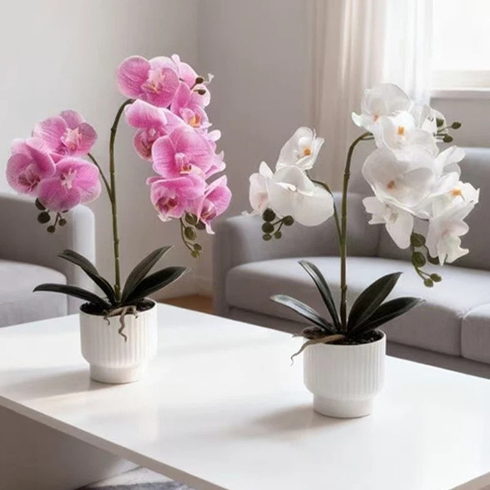 Multi-Bloom Simulated Butterfl - Bonsai Garden Kit recension och pris