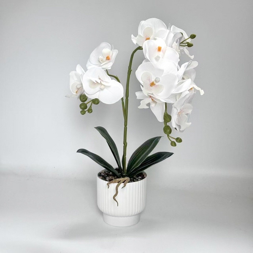 Multi-Bloom Simulated Butterfl - Bonsai Garden Kit recension och pris