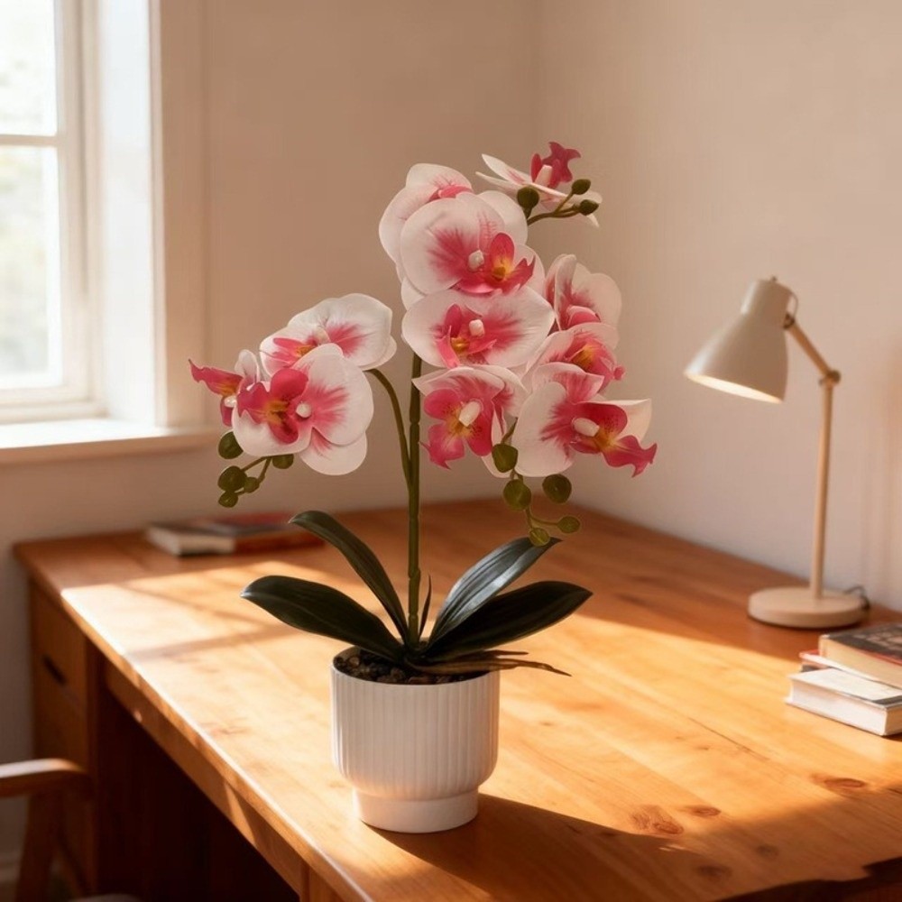 Multi-Bloom Simulated Butterfl - Bonsai Garden Kit recension och pris