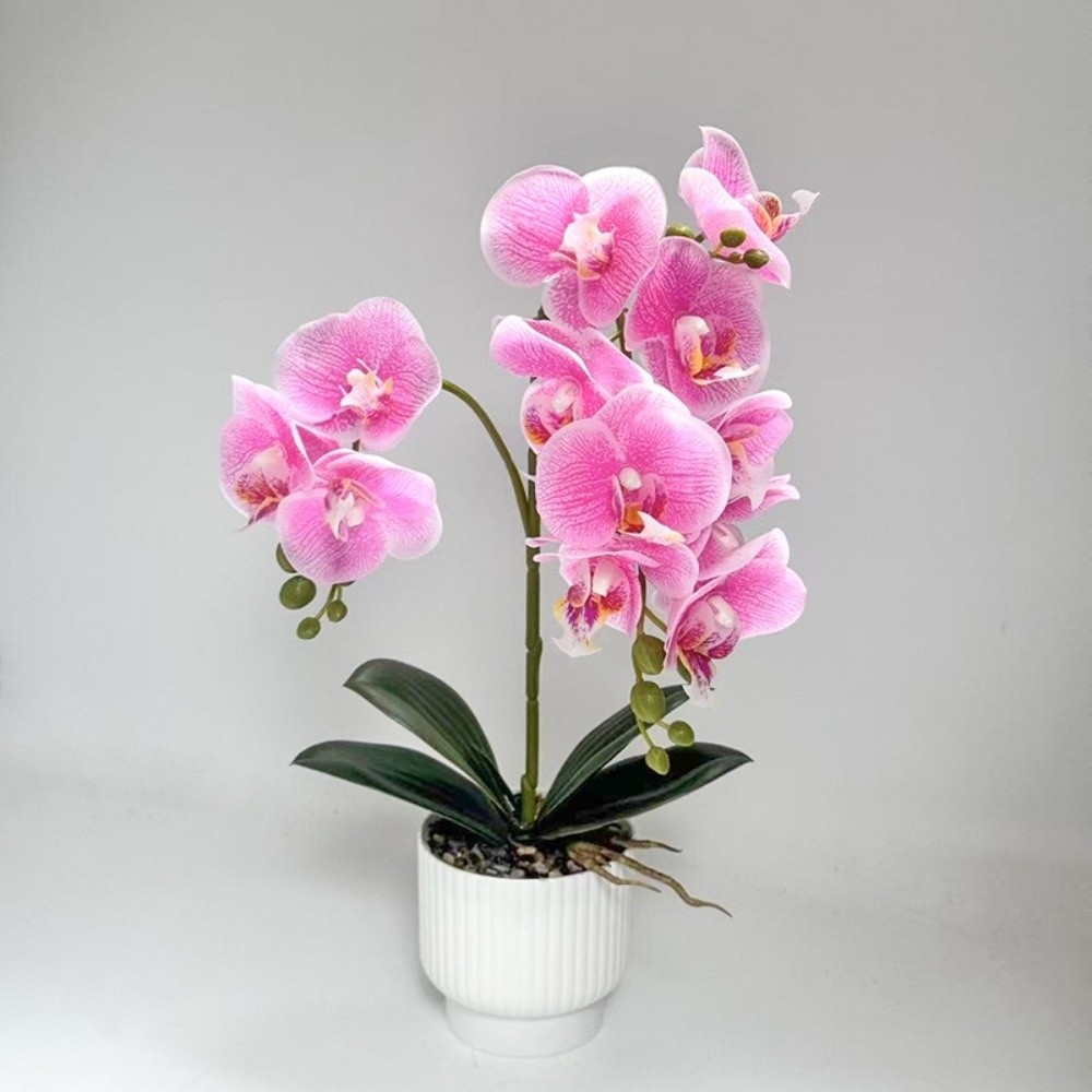 Multi-Bloom Simulated Butterfl - Bonsai Garden Kit recension och pris