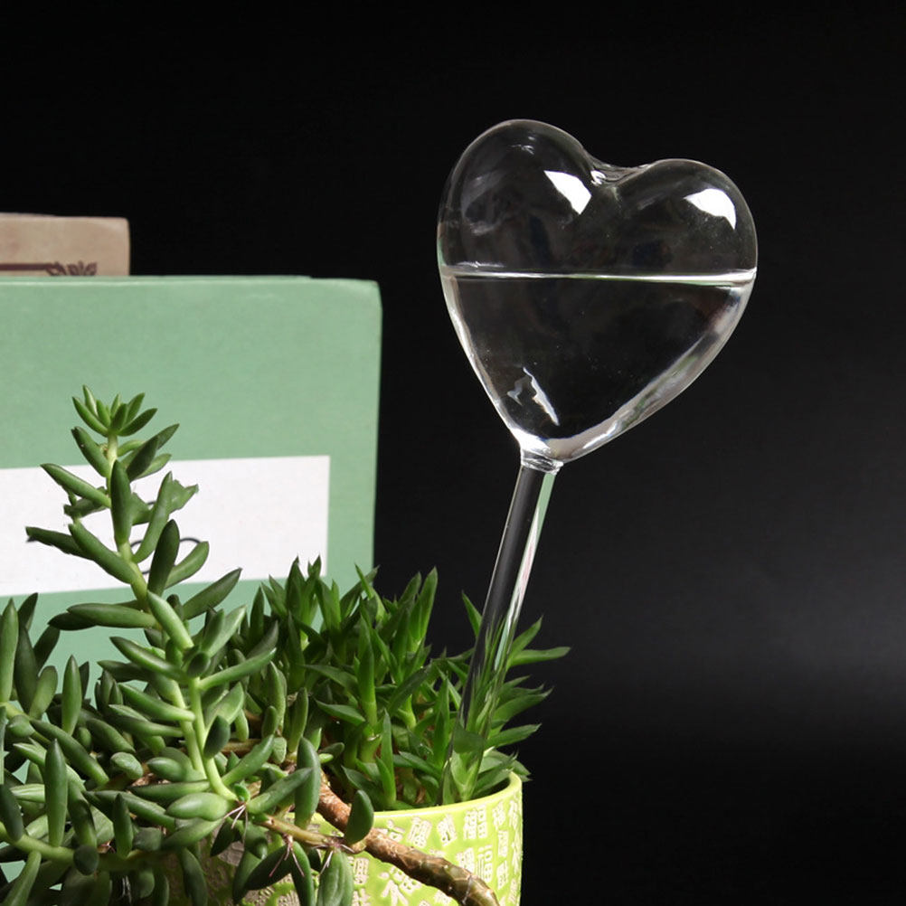 3Pcs Heart Shaped Glass Self W - Bonsai Garden Kit recension och pris