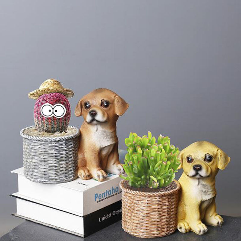 Household Living Room Office R - Bonsai Garden Art recension och pris