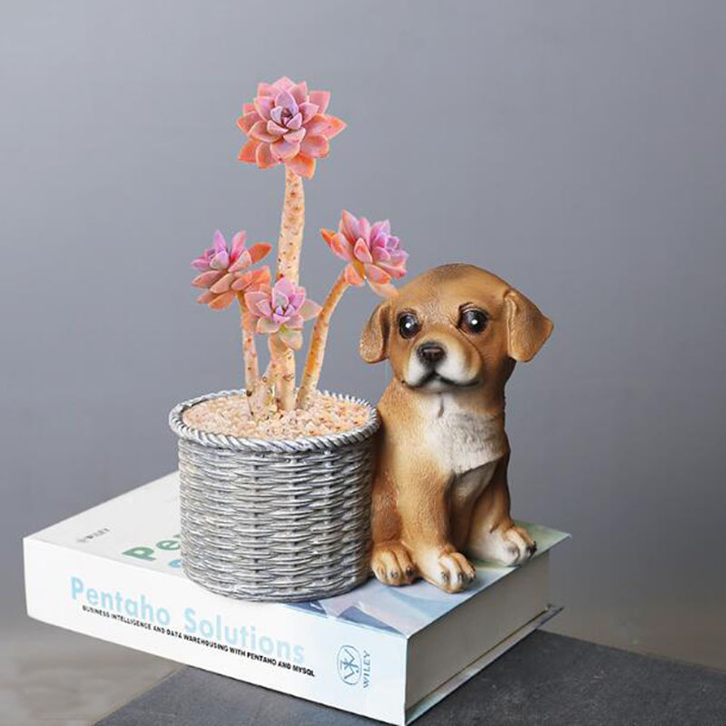 Household Living Room Office R - Bonsai Garden Art recension och pris