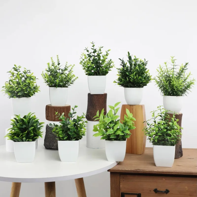 Wholesale OEM/ODM Artificial M - Bonsai Garden Kit recension och pris