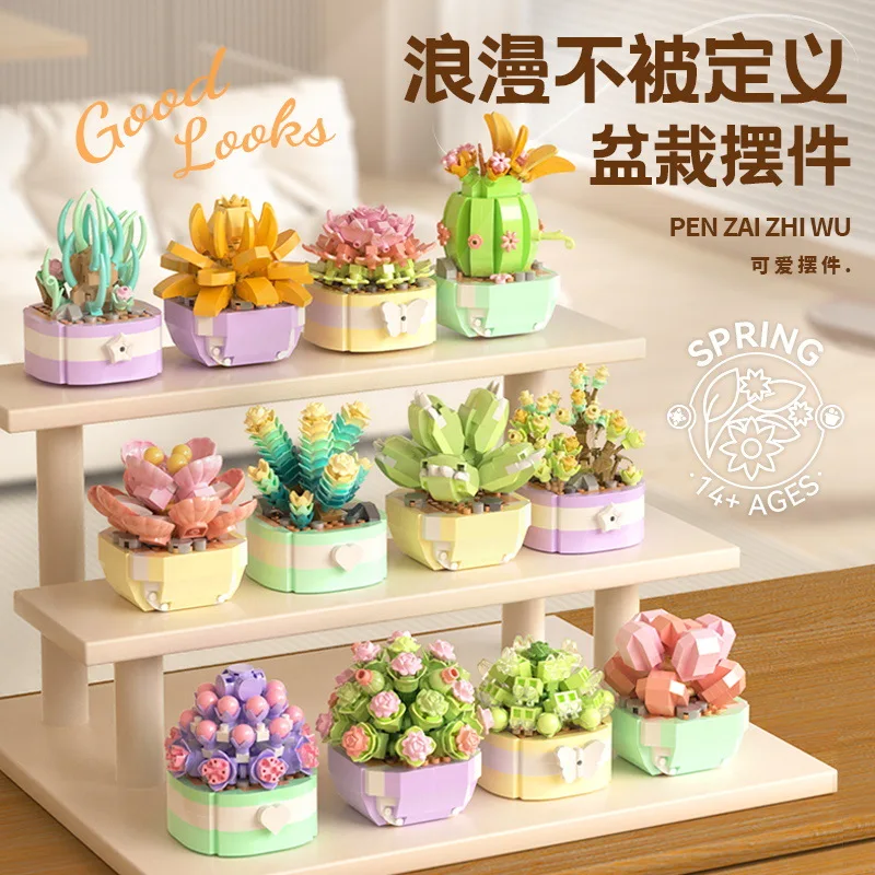 Flower Succulents Building Blo - Bonsai Garden Kit recension och pris