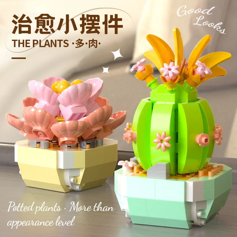 Flower Succulents Building Blo - Bonsai Garden Kit recension och pris