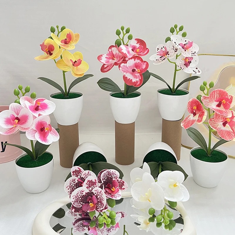 1Pcs 20CM Simulation Plants Po - Bonsai Garden Kit recension och pris