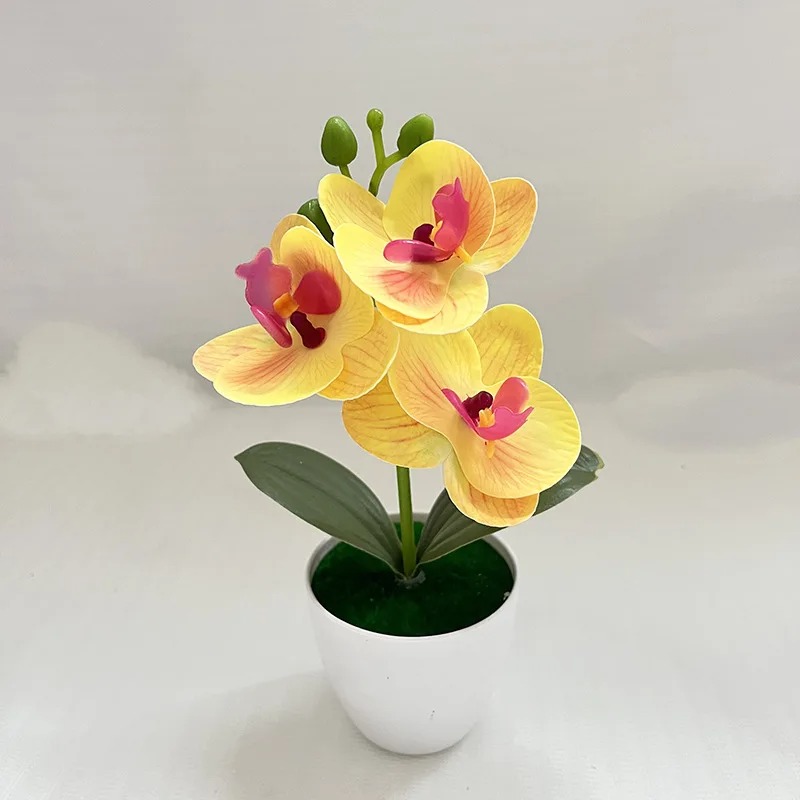 1Pcs 20CM Simulation Plants Po - Bonsai Garden Kit recension och pris