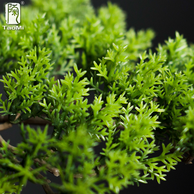 Home Welcoming Pine Ornaments  - Bonsai Garden Entrance recension och pris