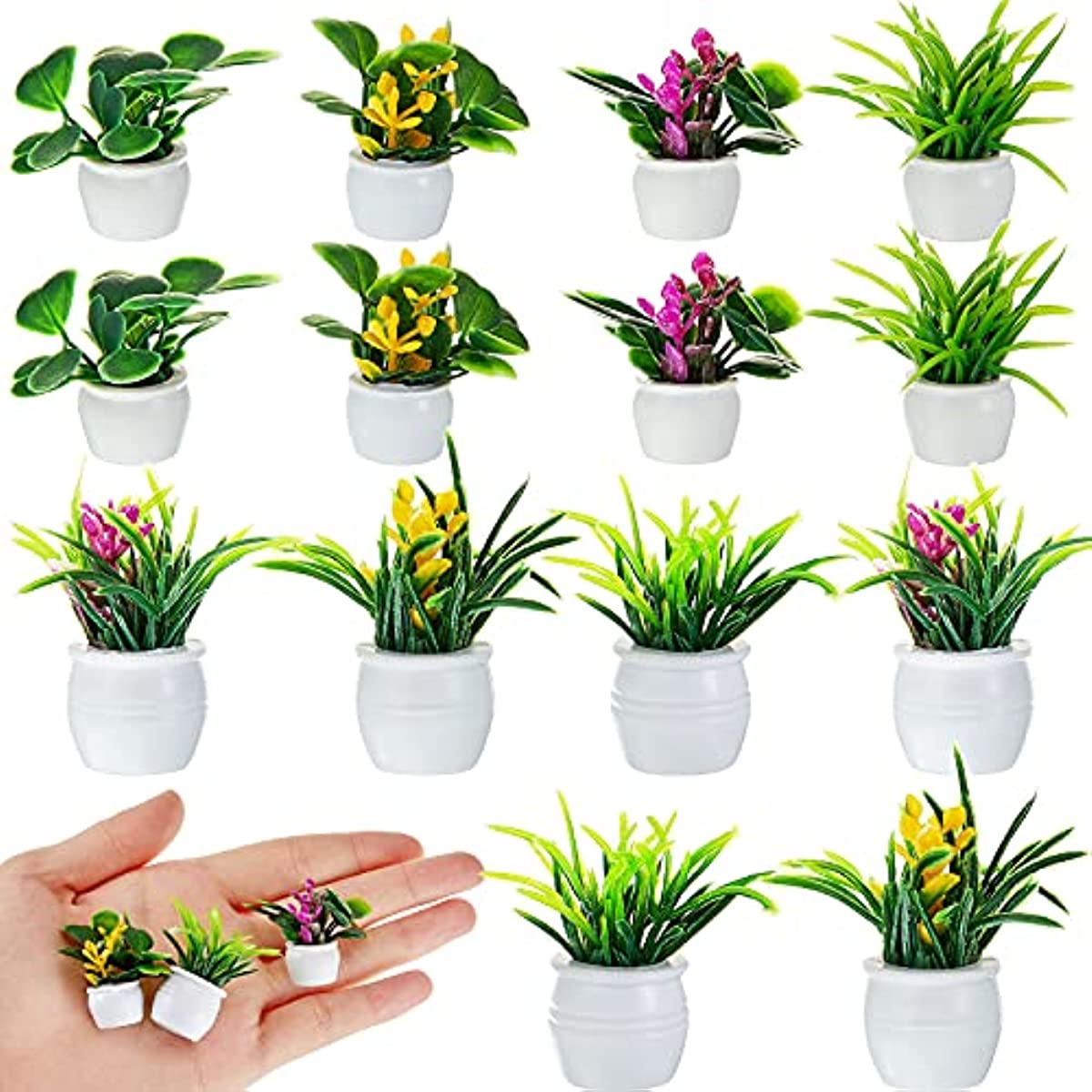 Dollhouse Plant, Miniature Bon - Bonsai Garden Kit recension och pris