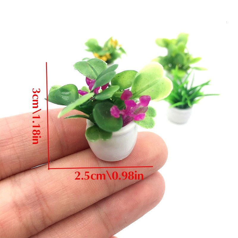 Dollhouse Plant, Miniature Bon - Bonsai Garden Kit recension och pris
