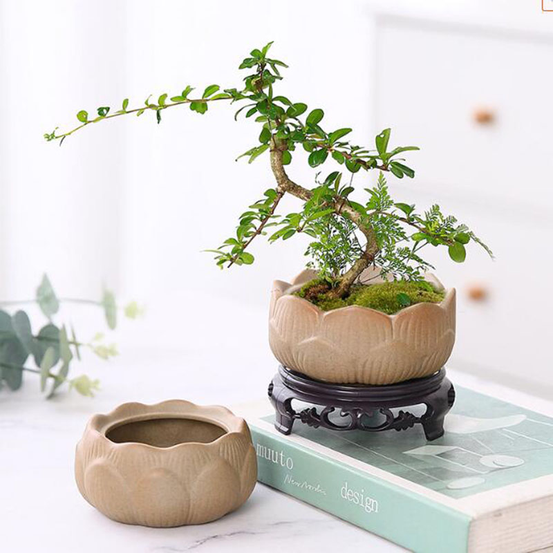 Coarse Pottery Lotus Green Pla - Bonsai Garden Art recension och pris