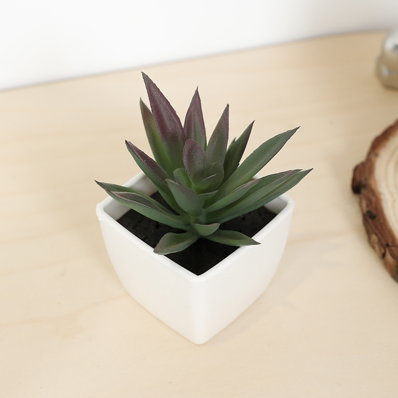 Mini Artificial Succulent Fair - Bonsai Garden Zen recension och pris