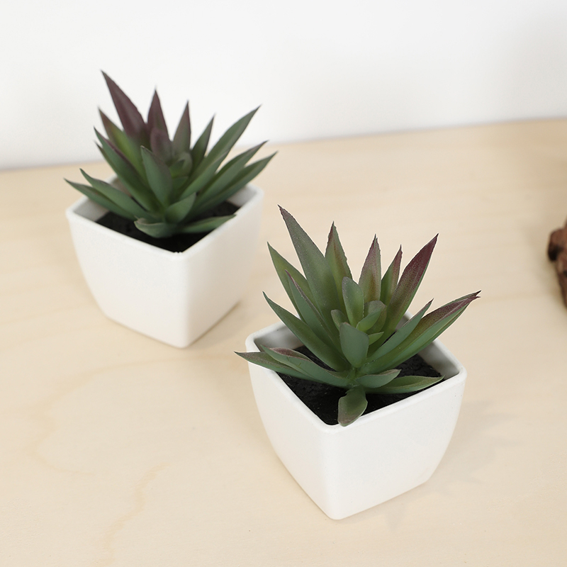 Mini Artificial Succulent Fair - Bonsai Garden Zen recension och pris