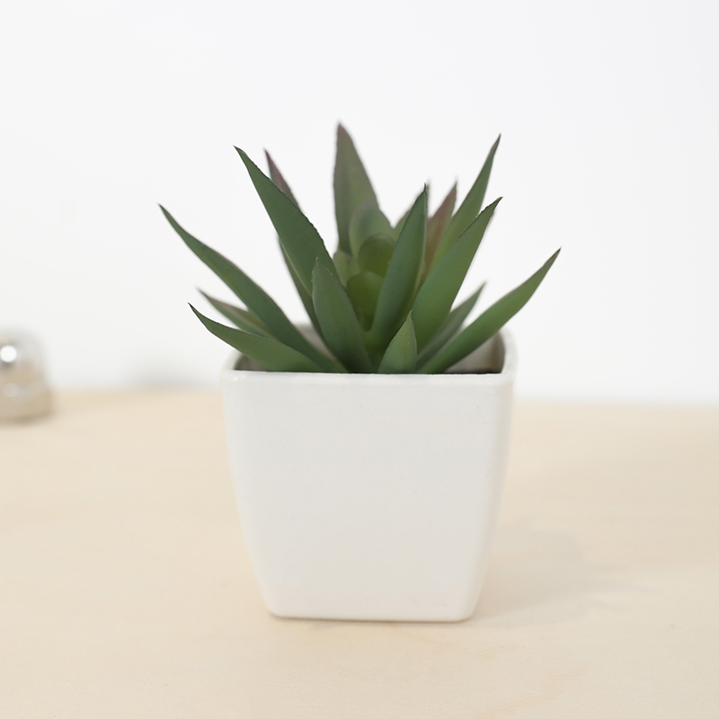Mini Artificial Succulent Fair - Bonsai Garden Zen recension och pris