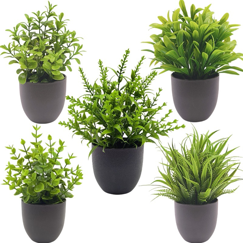 Simulation Green Plant Bonsai  - Bonsai Garden Zen recension och pris