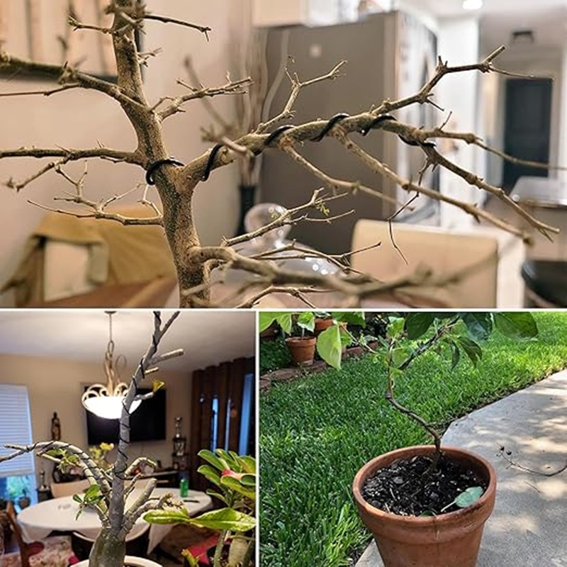 1mm Black Aluminum Bonsai Wire - Bonsai Garden Art recension och pris